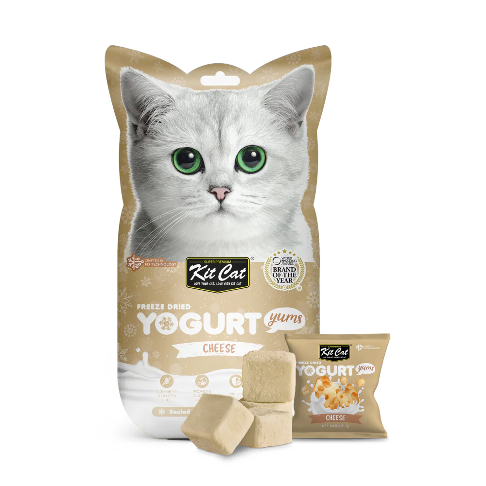 Yogurt Yums